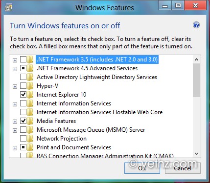 Turn Features in Windows 8