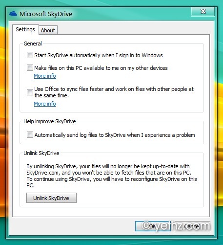 SkyDrive Options